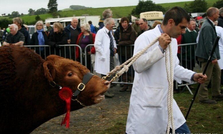 westmorland show