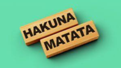 hakuna matata meaning in english